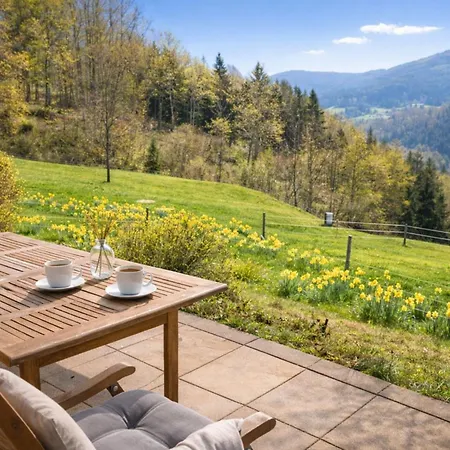 شقة Kirchberg | Traumlage & Blick Im Wald | Sauna