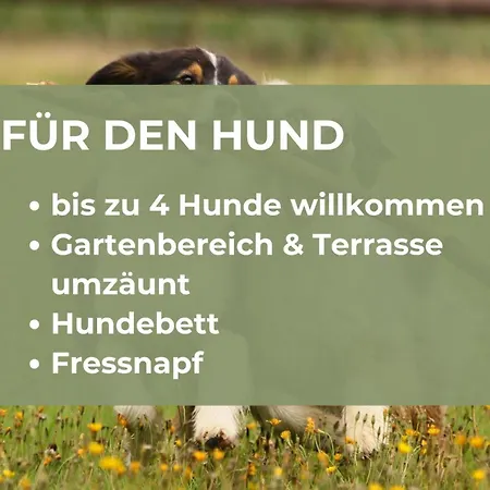 Kirchberg | Traumlage & Blick Im Wald | Sauna