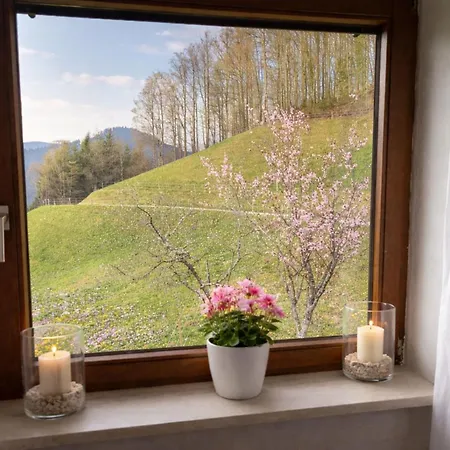 Kirchberg | Traumlage & Blick Im Wald | Sauna